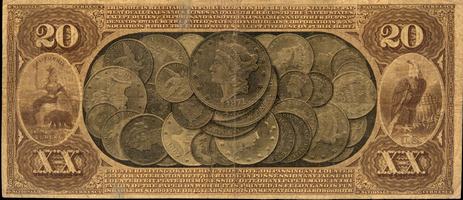 Use the arrows or slide the photo to see more