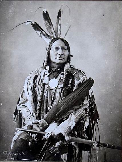 Use the arrows or slide the photo to see more